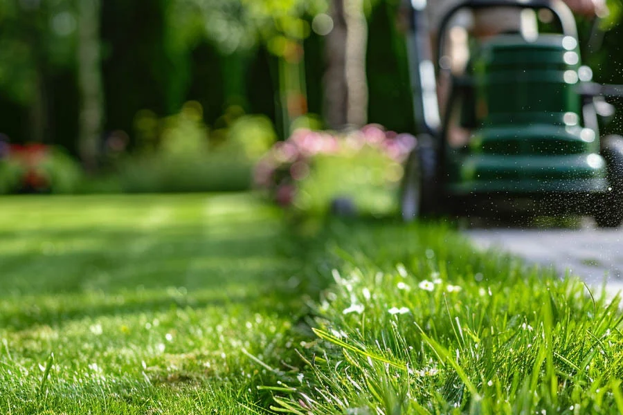 battery self propelled lawn mower